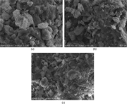 Three scanning electron micrographs labelled a, b, and c present layered and clustered particle structures at 10 micrometre scale.