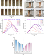 Soil specimen, stress-strain curves, and bar charts compare wetting-drying cycles and curing times on specimen strength and failure.