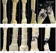 A multi-panel sequence showing progressive cracking and failure of coated specimens with highlighted crack propagation zones and final rupture.