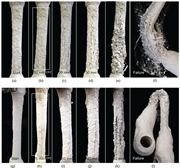 A multi-panel sequence showing surface cracking, material shedding, and final fibre exposed failure at increasing displacement levels.