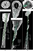 A multi-panel set of cross-sectional scans showing internal wire loops, fibre paths, and fracture behaviour within plaster matrix specimens.