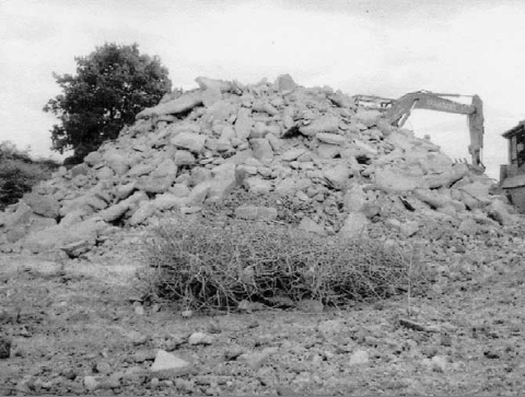 Fig. 3. Refer to the image caption for details.