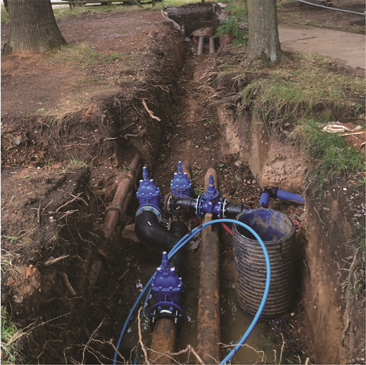 Figure 1 Refer to the image caption for details.