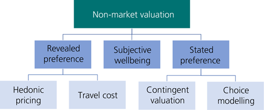 Figure 3 Refer to the image caption for details.