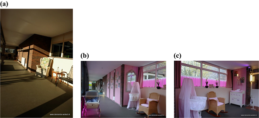 Plate 3 Refer to the image caption for details.