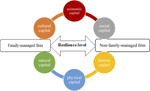 A figure shows a circular capital framework linking firm type and resilience level.