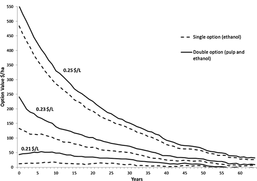 A line graph comparing the Option Value Doller/ha over 65 years for two investment scenarios a Single option for ethanol and a Double option for pulp and ethanol. The graph shows that values for both scenarios decrease over time and are higher when the price per liter of ethanol is higher Doller0.25 vs Doller0.21.