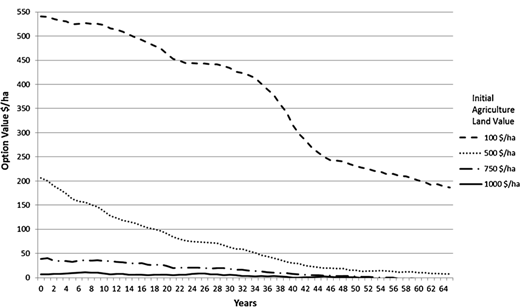 A line graph showing the Option Value Doller/ha over 65 years for four different Initial Agriculture Land Values. The graph illustrates that lower initial land values Doller100/ha maintain a significantly higher option value over time compared to higher land values Doller1000/ha, which stay near zero.