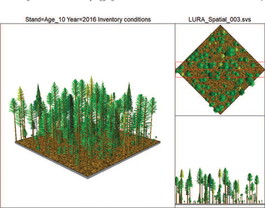 Map showing average inventory condition of Douglas-fir in the Interior West for a representative plot with a single 10-year age class (60–69 years), illustrating more homogeneous stocking density across the original nine subplots.