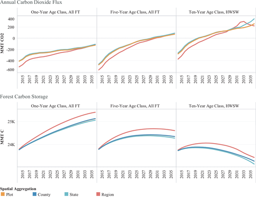 Line chart comparing annual CO2 flux (negative = sequestration) and forest carbon stock (positive = stored carbon) across different age class aggregations, showing that shifting from 1-year to 5-year age classes reduces carbon storage by about 1.5% in 2028 and 3.4% in 2036.