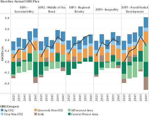 Stacked bar and line chart shows category and net flux line for SSPs 1 to 5 from 2025 to 2065. Net flux generally increases, most sharply in SSP5.