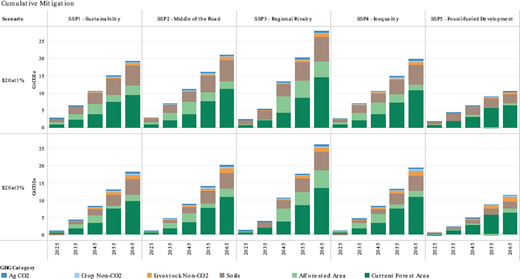 A bar chart showing cumulative mitigation across five SSP scenarios, from 2025 to 2065, under two different mitigation price scenarios.