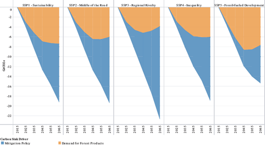 A bar chart showing projected changes in forest carbon sink from 2015 to 2065 under five SSP scenarios, distinguishing between demand for forest products and mitigation policy.