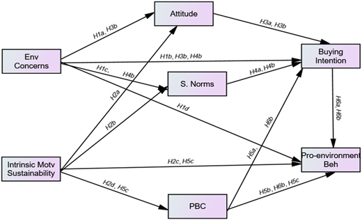 A model shows paths from environmental concerns and intrinsic to attitude, buying intention, and pro-environment behavior.
