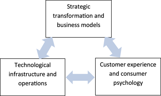 A conceptual framework shows interactions between strategic, technological, and customer experience.