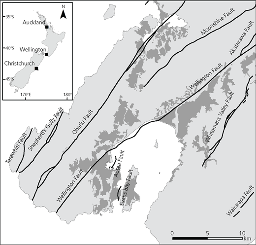 Figure 2 Refer to the image caption for details.