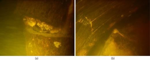 Figure 5 Refer to the image caption for details.