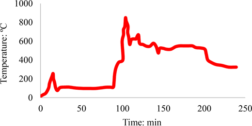 This graph depicts temperature in degrees Celsius over time in minutes, showing fluctuations in temperature values.