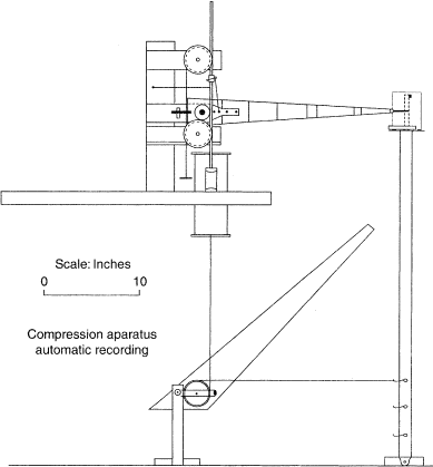 Fig. 3. Refer to the image caption for details.