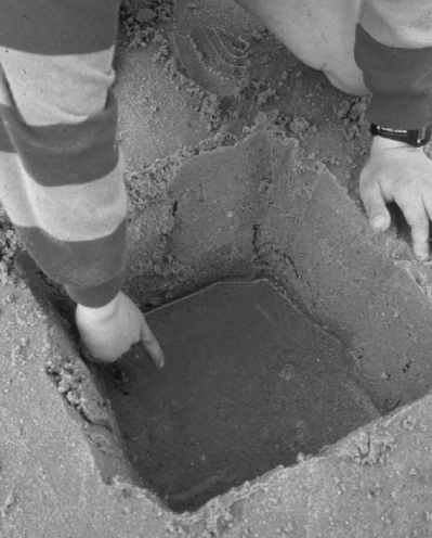 Fig. 3. Refer to the image caption for details.