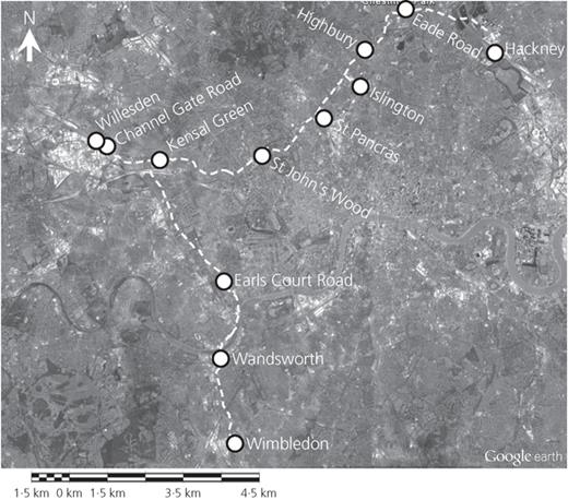 Figure 4. Refer to the image caption for details.