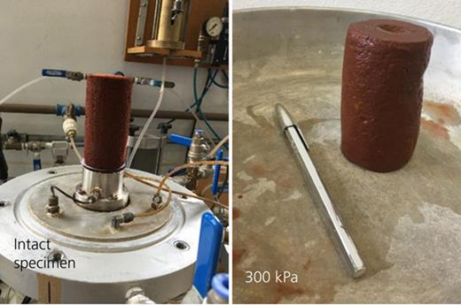 Figure 2. Refer to the image caption for details.