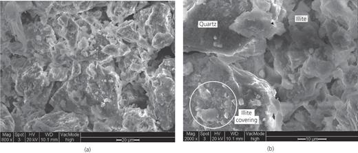 Fig. 5. Refer to the image caption for details.