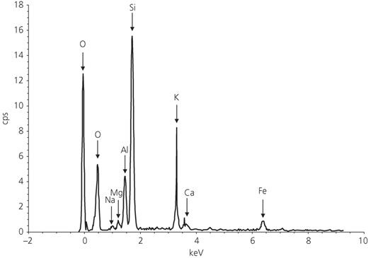 Fig. 6. Refer to the image caption for details.