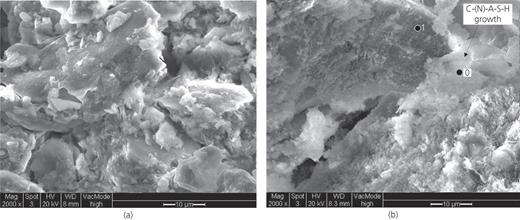 Fig. 7. Refer to the image caption for details.