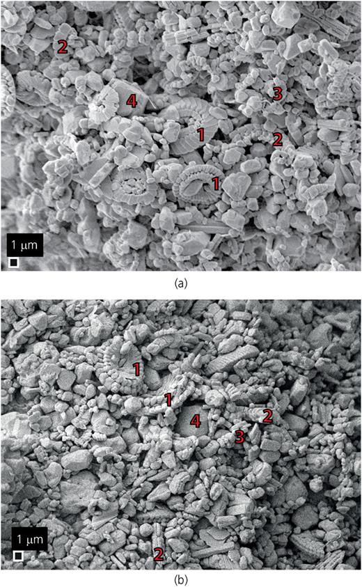 Fig. 2. Refer to the image caption for details.