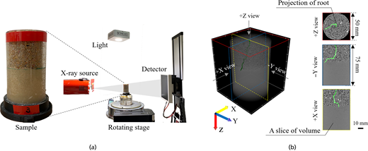 Fig. 1. Refer to the image caption for details.