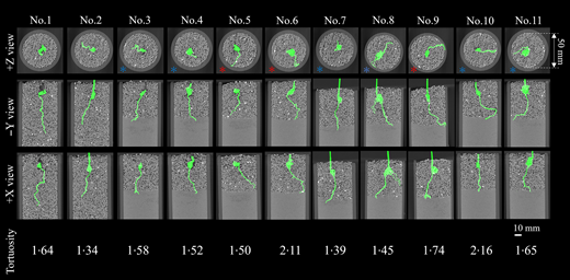 Fig. 2. Refer to the image caption for details.