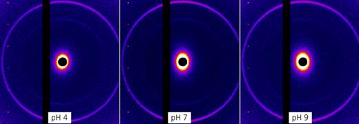 Fig. 3. Refer to the image caption for details.