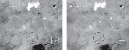 Fig. 21. Refer to the image caption for details.