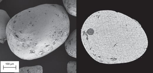 Fig. 1. Refer to the image caption for details.
