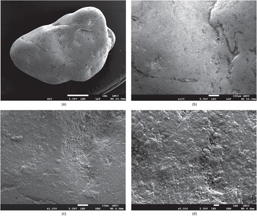 Scanning electron microscope (SEM) images of a LBS particle. The length of the white bar in the bottom panel of each image shows the scale: 1 mm in (a), 100 μm in (b), 10 μm in (c) and 1 μm in (d) Refer to the image caption for details.