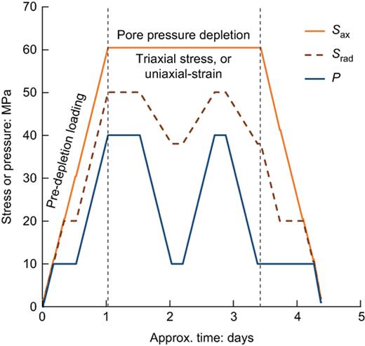 Fig. 2. Refer to the image caption for details.