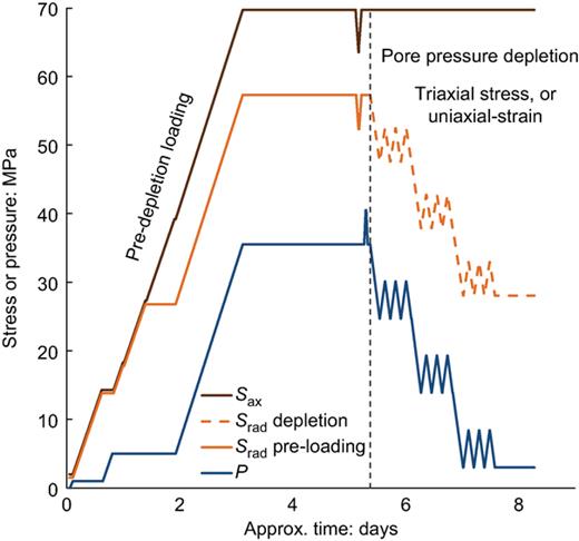 Fig. 3. Refer to the image caption for details.