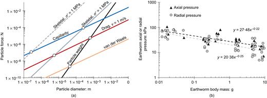 Fig. 2. Refer to the image caption for details.