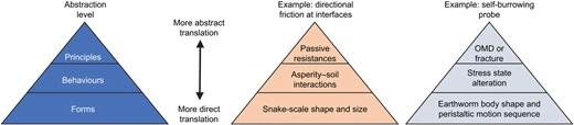 Fig. 3. Refer to the image caption for details.