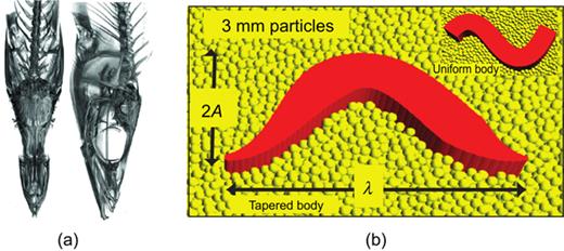 Fig. 5. Refer to the image caption for details.