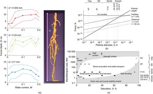 Fig. 7. Refer to the image caption for details.