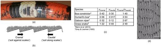 Fig. 9. Refer to the image caption for details.