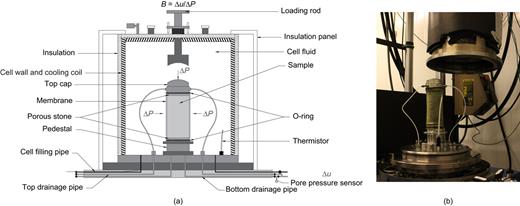 Fig. 2. Refer to the image caption for details.