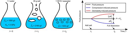 Fig. 3. Refer to the image caption for details.
