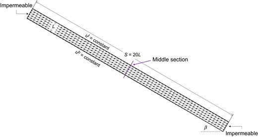 Fig. 4. Refer to the image caption for details.