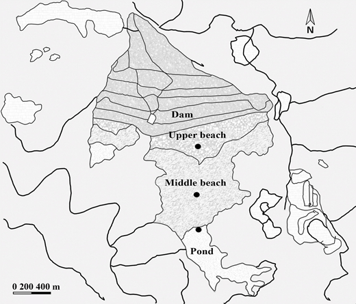 Fig. 20. Refer to the image caption for details.