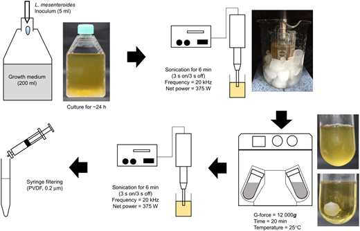 Fig. 1. Refer to the image caption for details.