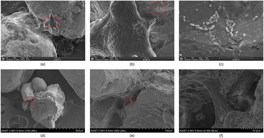 Fig. 11. Refer to the image caption for details.