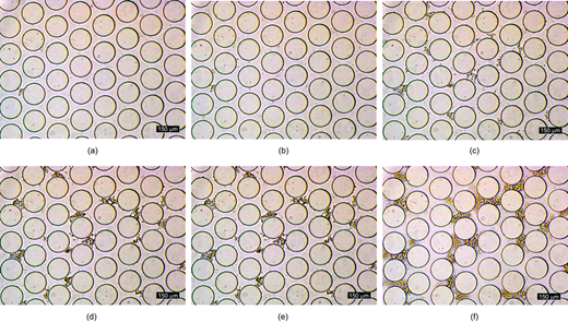 Fig. 5. Refer to the image caption for details.